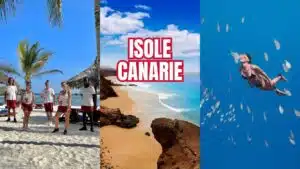 Canarie